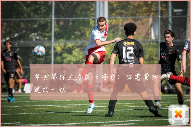 年世界杯主办国卡塔尔:你需要知道的一切