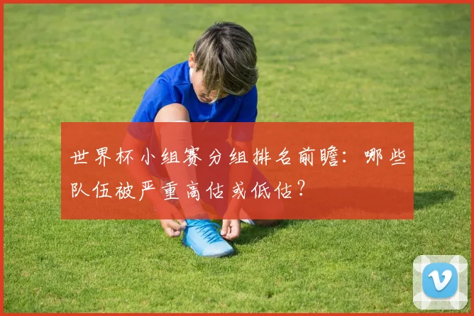 世界杯小组赛分组排名前瞻：哪些队伍被严重高估或低估？